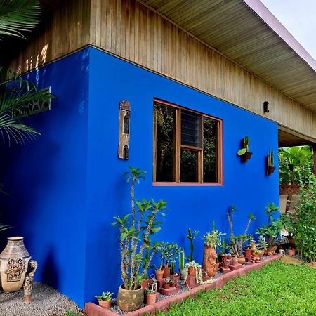 Quinta Don Fernando Acomodação com café da manhã La Garita  Exterior foto