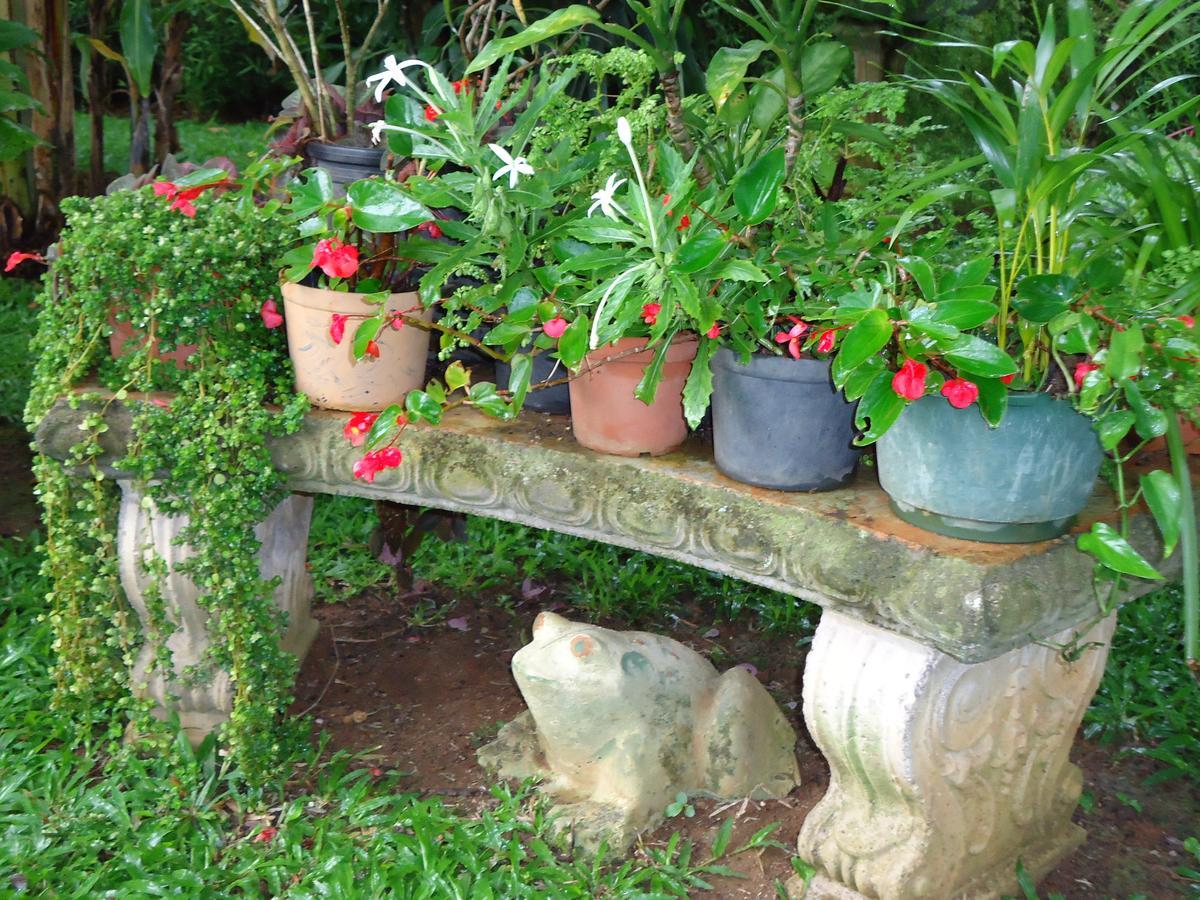 Quinta Don Fernando Acomodação com café da manhã La Garita  Exterior foto